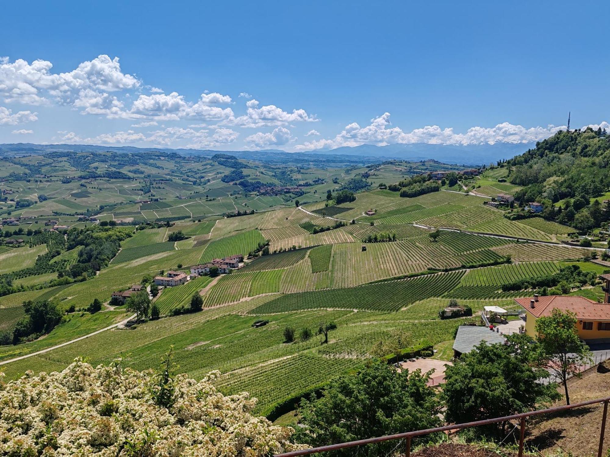 Tour In Langhe Apartment La Morra Luaran gambar