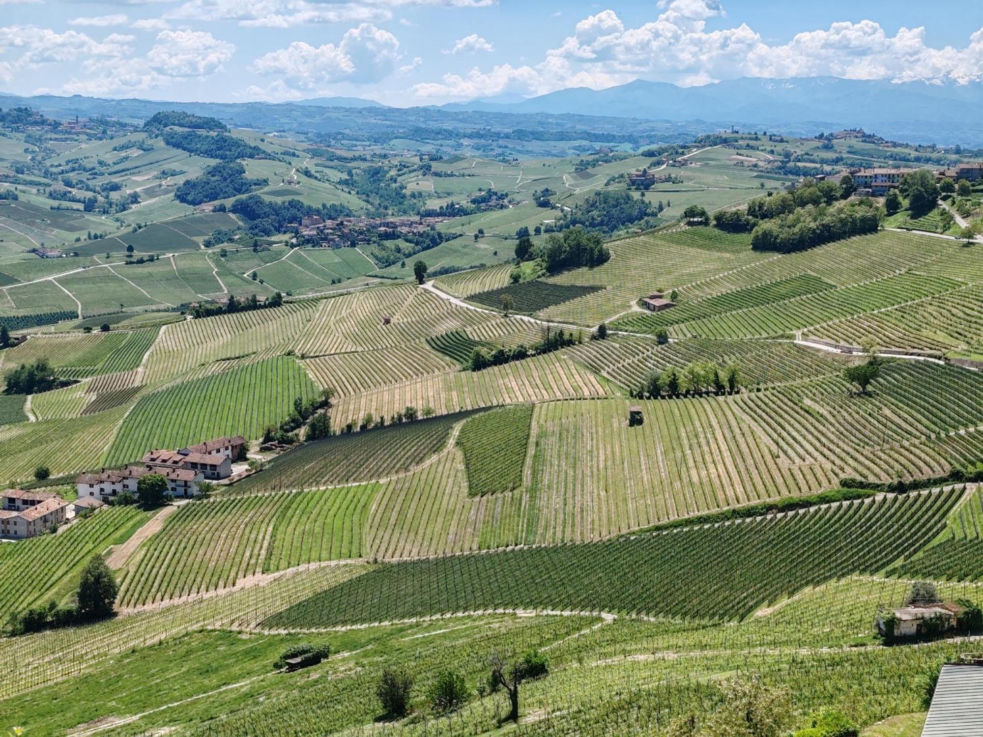 Tour In Langhe Apartment La Morra Luaran gambar